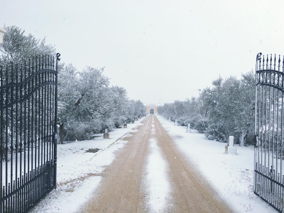Tenuta Orsanese Marina di Ginosa Bagian luar foto